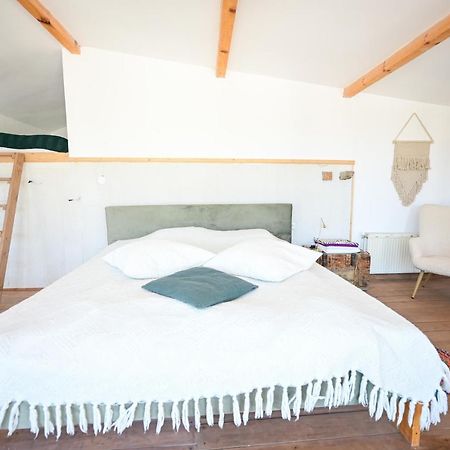 Guest house BULGARKA Dibich Extérieur photo