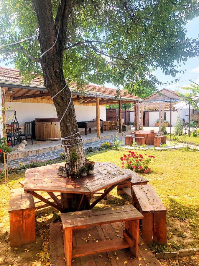 Guest house BULGARKA Dibich Extérieur photo